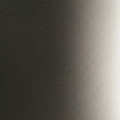 jianjian4033
