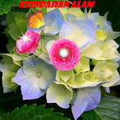 kudin