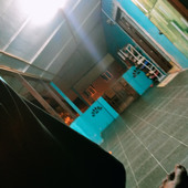 Amersohai