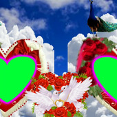shakeelali