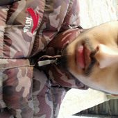 Sudin ghorsaind