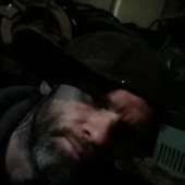 Anarchy311