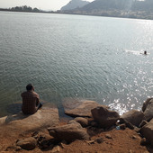 Nandu