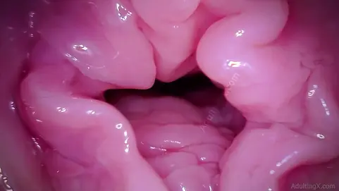 Watch Muff Coaster's Labia get a camera in POV - A hymen fetish video!