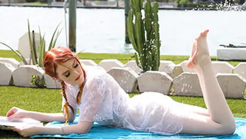 Bracefaced Ginger Bush